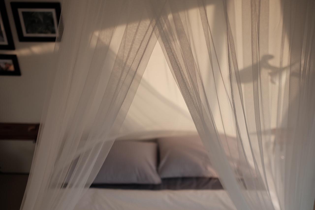 Bed and Breakfast Mountscene At Cervidae Chiang Mai Exterior foto